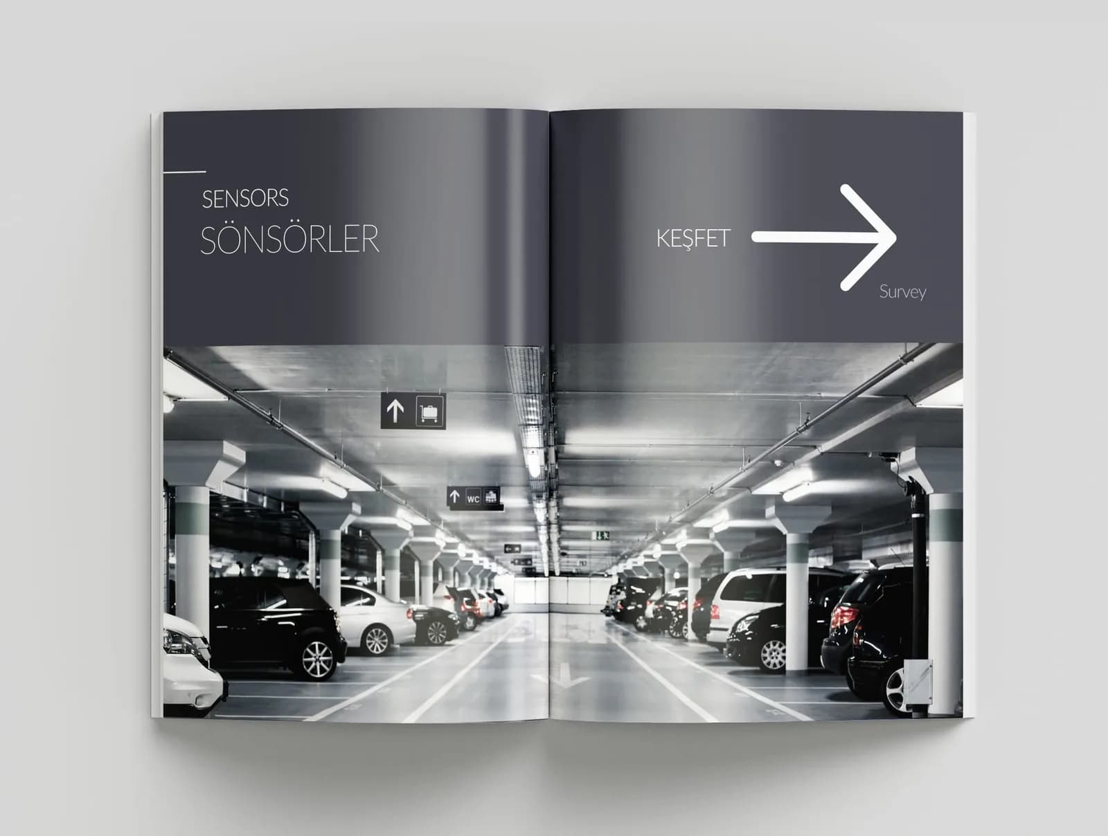 Pedaş Katalog — Katalog & Broşür